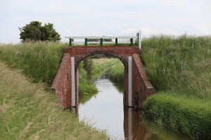 
                            <b>Bakstenen boogbrug met witte reling over smal kanaal</b><br>
                                                        <b>ISO:</b> 100 | <b>Sluitertijd:</b> 1/320 | <b>Diafragma:</b> f/7.1 | <b>Datum:</b> 2026-05-31

                        