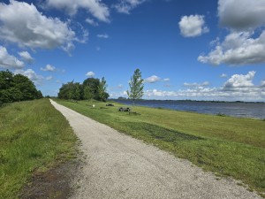 
                            <b>Een grindpad loopt langs het water.</b><br>
                                                        <b>ISO:</b> 12 | <b>Sluitertijd:</b> 176343/250000000 | <b>Diafragma:</b> f/1.7 | <b>Datum:</b> 2026-06-09

                        
