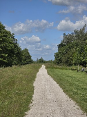 
                            <b>Een kronkelend grindpad door het groen.</b><br>
                                                        <b>ISO:</b> 32 | <b>Sluitertijd:</b> 740601/1000000000 | <b>Diafragma:</b> f/3.4 | <b>Datum:</b> 2026-06-09

                        