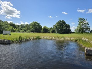 
                            <b>Een rustige waterpartij met natuurlijke oevers.</b><br>
                                                        <b>ISO:</b> 12 | <b>Sluitertijd:</b> 1202459/1000000000 | <b>Diafragma:</b> f/1.7 | <b>Datum:</b> 2026-06-09

                        