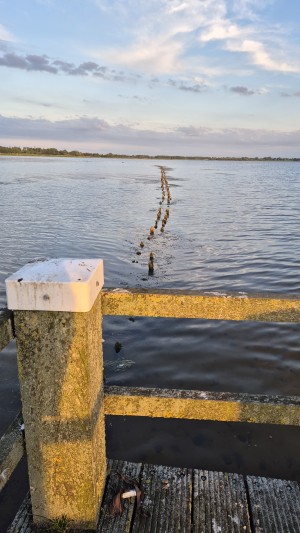 Houten steigerpaal en palenrij in het water