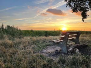 Houten bankje met betonnen steunen in grasveld