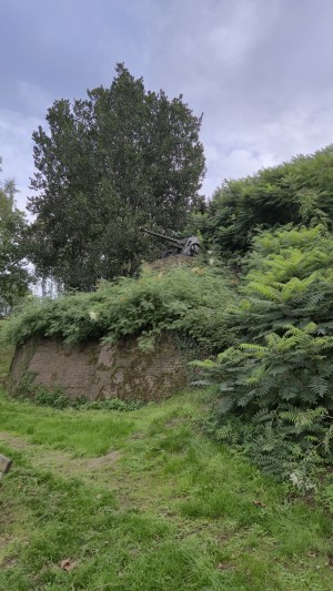 Historisch kanon