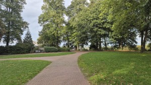 Een slingerend wandelpad door een groen park.
