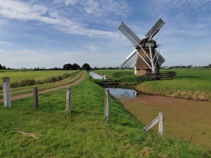 Traditionele windmolen met rieten kap en witte wieken