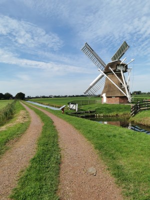 Traditionele rietgedekte windmolen met witte wieken
