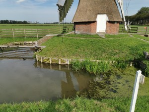 Traditionele windmolen met rieten kap en bakstenen romp