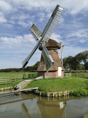 Traditionele Nederlandse windmolen met rieten kap en witte wieken
