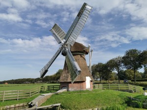 Traditionele windmolen met rieten kap en witte wieken