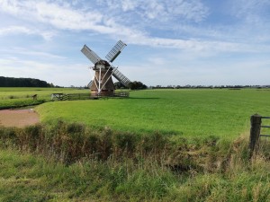Traditionele windmolen met vier wieken in open landschap.