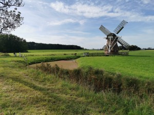 Traditionele windmolen met grote wieken in een groen landschap.
